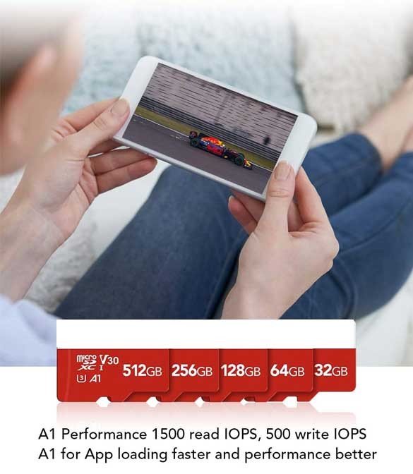 16 GB Micro SD Card