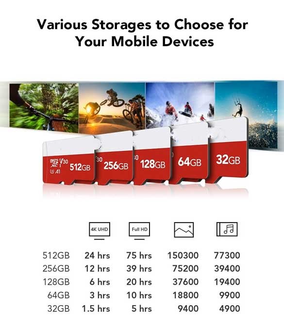 16 GB Micro SD Card