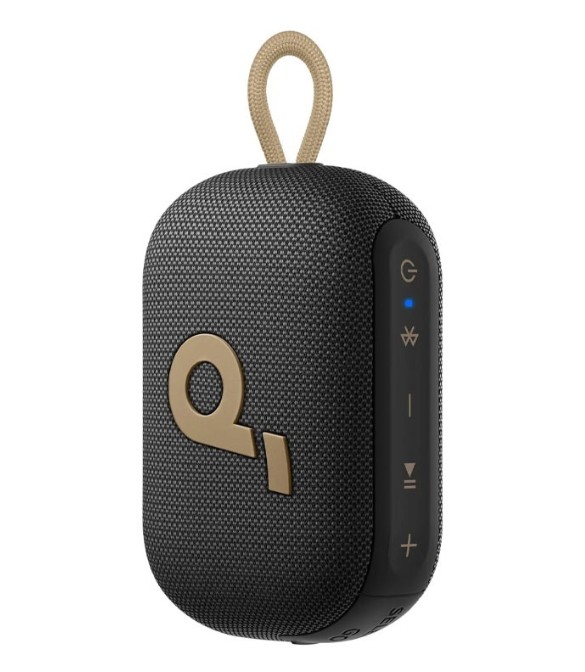 ANKER Soundcore Select 4 Go Bluetooth Speaker A31X11B3 - Black&Golden
